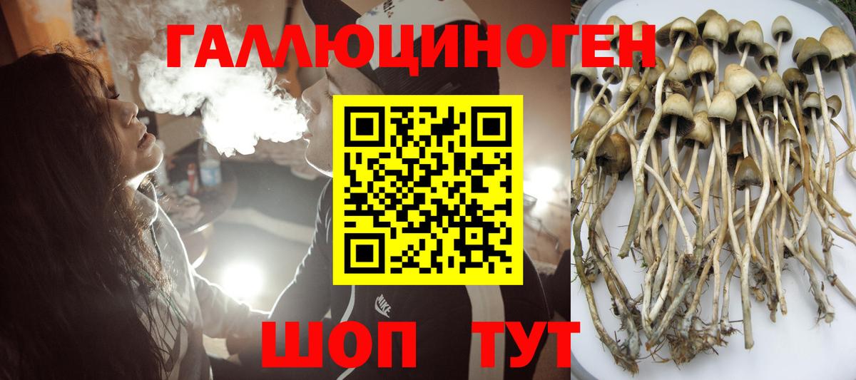 Псилоцибиновые грибы прущие грибы Альметьевск
