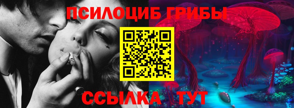 Альметьевск  Галлюциногенные грибы прущие грибы  Вход с VPN 